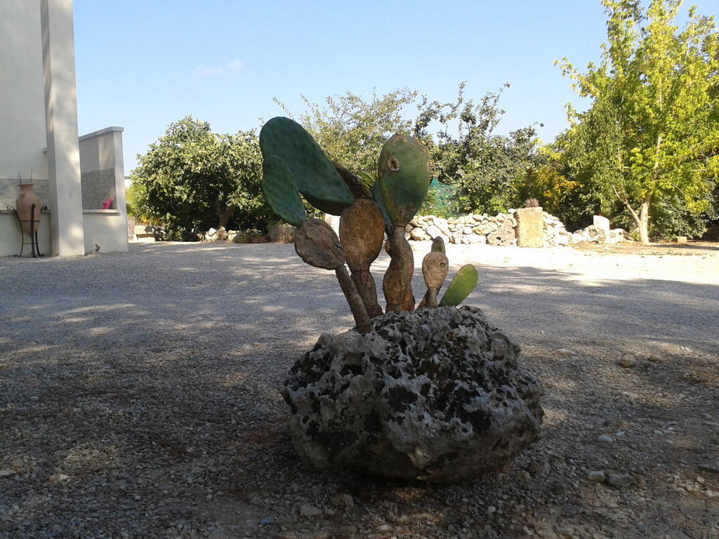 拉斯佩齐亚泰努塔农家乐 卡尔皮尼亚诺萨伦蒂诺 外观 照片